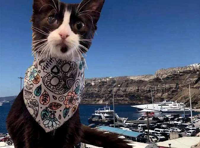 Poudras Amazing View Caldera